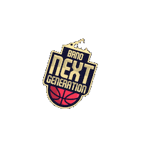 Nextgenerationbasketbrno Sticker by ngbasket
