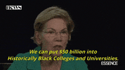 Elizabeth Warren Student Loan Debt GIF