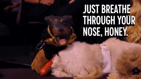 Triumph The Insult Comic Dog Reaction GIF by Comedy Central