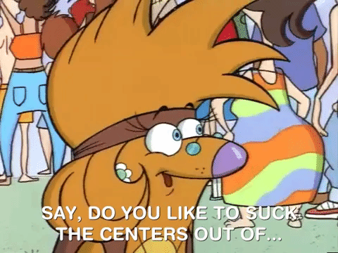 nickrewind giphydvr nicksplat angry beavers giphyab013 GIF