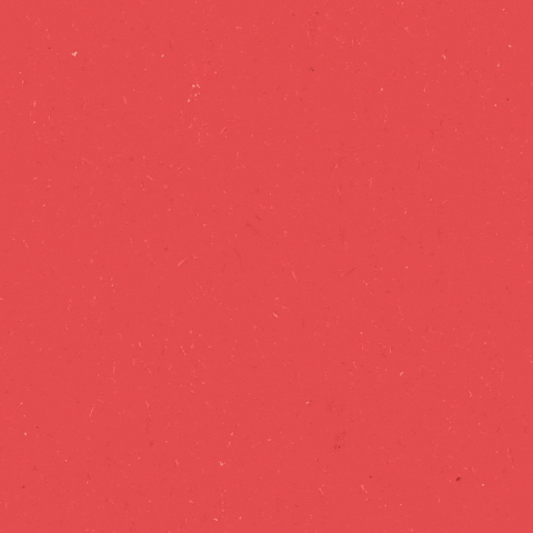 markpack giphyupload liberal democrats lib dems libdem GIF