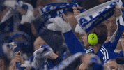 Football Soccer GIF by FC Schalke 04
