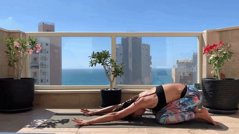 svitlanayevsieieva giphyupload GIF