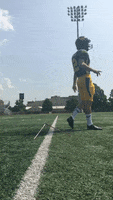 Football Success GIF by Wayne State University