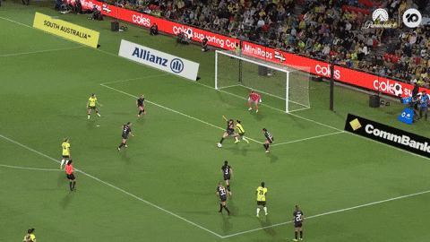 Matildas GIF by Football Australia