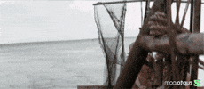 To The Moon Bitcoin GIF by Zypto