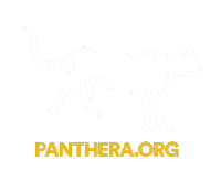 Sticker by Pantheracats