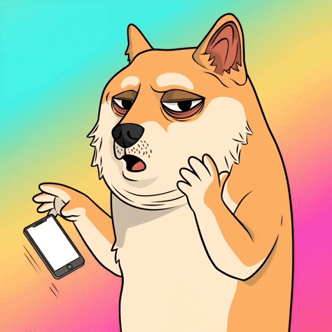 Shocked Shiba Inu GIF by Doge Pound