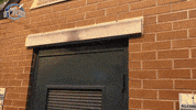 EvansvilleOtters baseball thank you evansville otters GIF