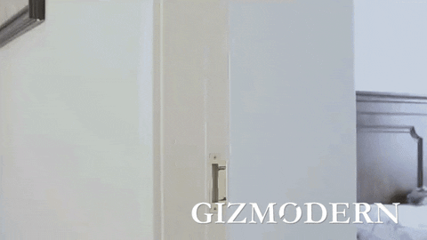 GizModern giphyupload GIF