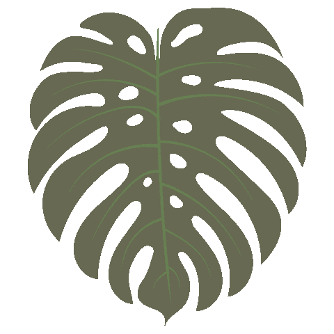 letterplezier giphyupload green color leaf Sticker