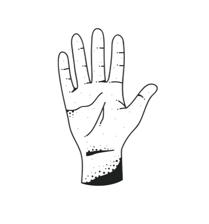 Youth Ydc Sticker by PALMWOOD