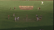 Geelong Cats Goal GIF by AFL