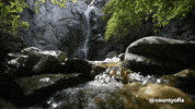 CountyofLA nature water california los angeles GIF