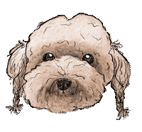 Dog Sticker