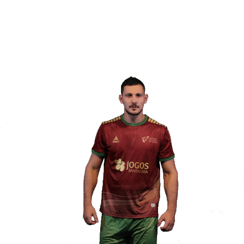 Andebolportugal Sticker by Federação de Andebol de Portugal