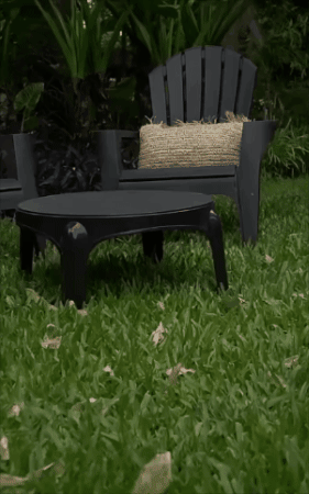 GIF animado
