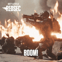 Battle Royale Fire GIF by Battlefield