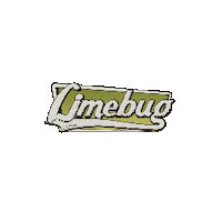 Limebug volkswagen beetle airride aircooled Sticker
