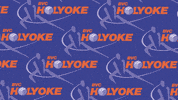 Volleyball GIF by BVC Holyoke
