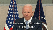 Joe Biden GIF by GIPHY News