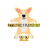 Dog Sticker by Pampered Pet Inn