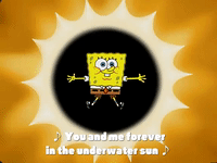 season 3 GIF by SpongeBob SquarePants