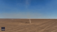 Dust Devils Spin Through Wheat Field in Washington