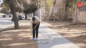 Dogs GIF by BuzzFeed