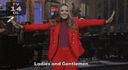 Rachel Mcadams Snl GIF by Saturday Night Live