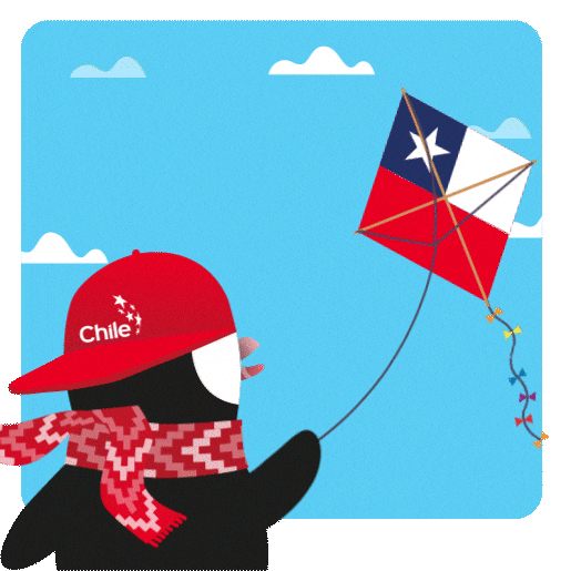 Chile Chiri GIF by ProChile MKT