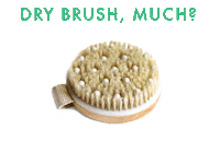 Sticker Dry Brush Sticker by Beauty by Earth