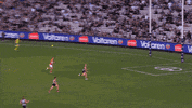 happy football GIF by CollingwoodFC