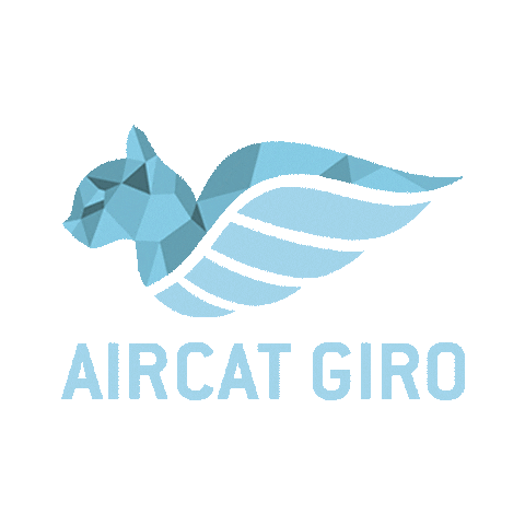 Piloto Aire Sticker by VirtualFly
