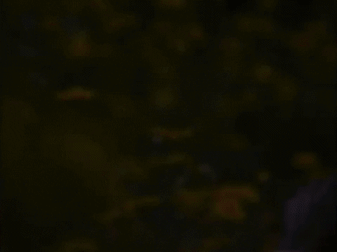 Music Video Mv GIF by Buju Banton