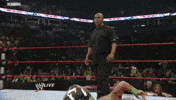 come on whatever GIF by WWE