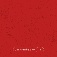 urfaninnabzi  GIF
