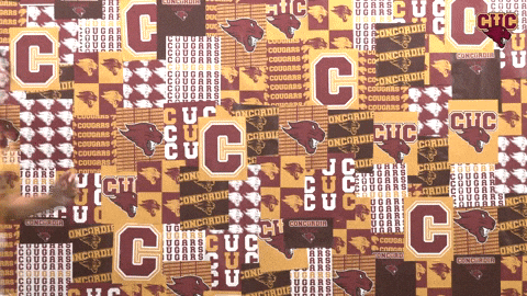 Wten GIF by CUCougars