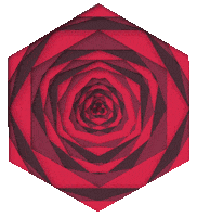 rose spin Sticker