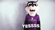 Sbuniv GIF by Southwest Baptist University