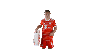 Joshua Kimmich Football Sticker by FC Bayern Munich