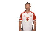 Celebrate Fc Bayern Sticker by Bundesliga