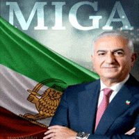 Iran Pahlavi GIF