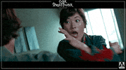Martial Arts Film GIF by Arrow Video