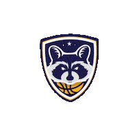 Guaxinim Sticker by Basquete Paraná - FPRB