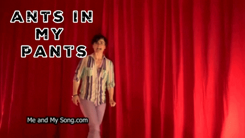 JessicaLeia giphygifmaker jessica leia me and my song ants in my pants GIF
