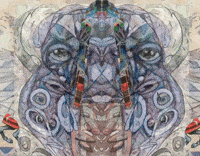 We dance, we dance each night