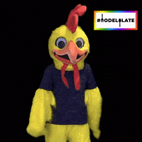 Food Chicken GIF by Model Plate