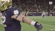 Celebration Jump GIF by Notre Dame Fighting Irish