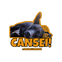 Cacausando pet pets cachorro cachorros Sticker